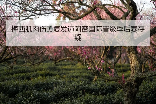 梅西肌肉伤势复发迈阿密国际晋级季后赛存疑